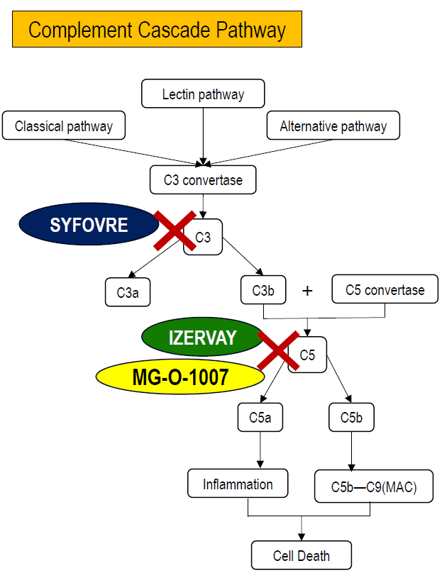 地圖狀萎縮（Geographic Atrophy, GA）