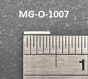 地圖狀萎縮（Geographic Atrophy, GA）